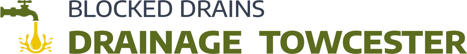 website logo